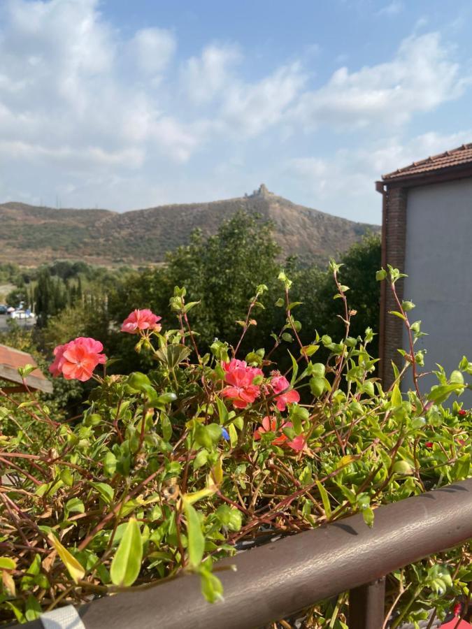 Tatin - Hotel & Cafe In Mtsʼkhetʼa Dış mekan fotoğraf